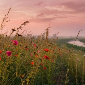 A photo of a morning in nature with red flowers in the foreground.