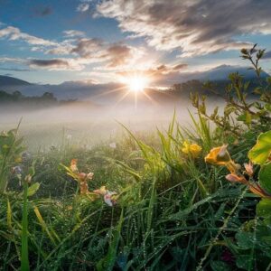 An image of a sunrise in nature.