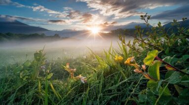 An image of a sunrise in nature.