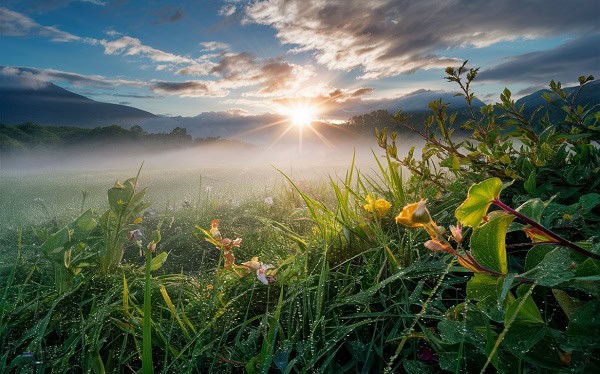 An image of a sunrise in nature.