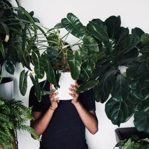 How Having Houseplants Lowers Your Stress & Improves Your Mental Health