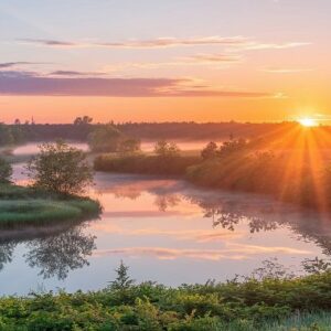 A sunrise by a river with lots of greenery.