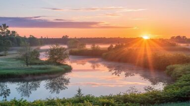 A sunrise by a river with lots of greenery.