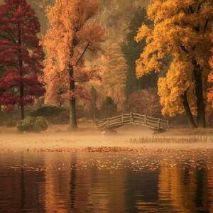 Beautiful fall colors on the trees by a lake.