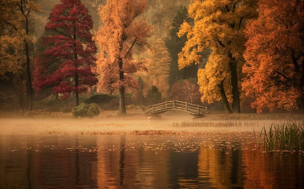 Beautiful fall colors on the trees by a lake.