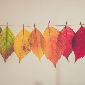 6 Questions to Help You Simplify and Focus on What Truly Matters This Fall