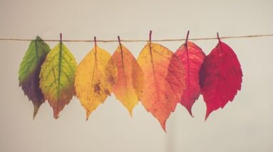 6 Questions to Help You Simplify and Focus on What Truly Matters This Fall