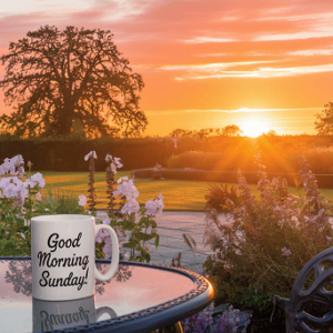 A sunrise in the distance seen from a garden. There is a mug with the writing Good Morning Sunday on it standing on a patio table.