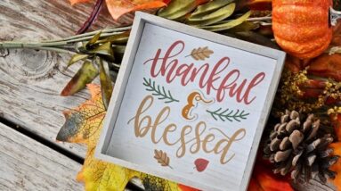 An image with sign that says Thankful & Blessed placed on a pumpkin and autumn plants.