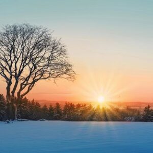 A sunrise in January over a cold and snowy landscape.