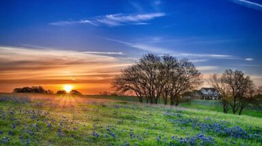 A spring timer sunrise with flowers in the foreground.