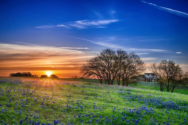 A spring timer sunrise with flowers in the foreground.