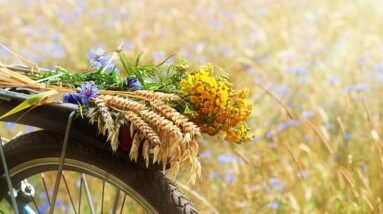 Summer flowers in a bouquet on the rear rack of a bicycle.