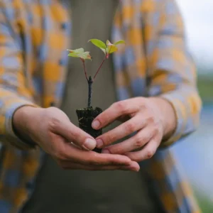 Out with the Old: Letting Go of Toxic Habits This Spring