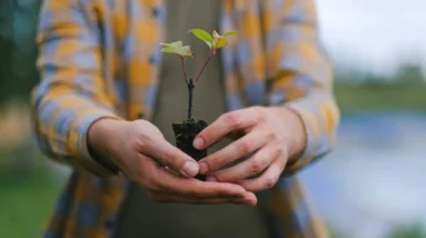 Out with the Old: Letting Go of Toxic Habits This Spring