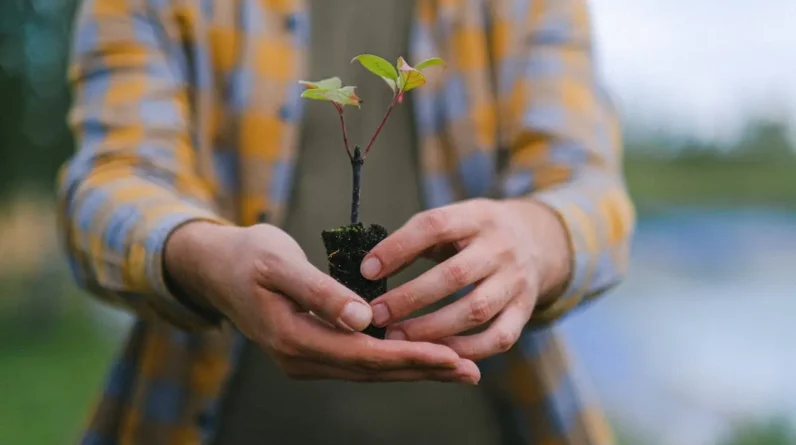 Out with the Old: Letting Go of Toxic Habits This Spring