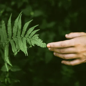 "What Doesn’t Kill You Makes You Stronger" - 4 Steps on the Path to Building Resilience