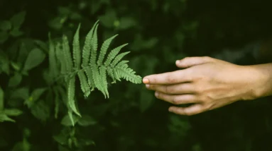 "What Doesn’t Kill You Makes You Stronger" - 4 Steps on the Path to Building Resilience