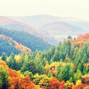 Mountains and valleys covered with trees in beautiful fall colors.