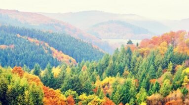 Mountains and valleys covered with trees in beautiful fall colors.