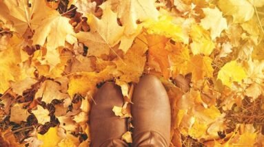 The brown boots of a woman standing in yellow and beautiful fall leaves.