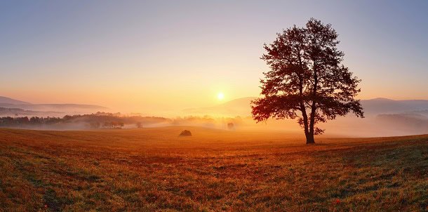 A beautiful sunrise over a field and by an tree as a new morning and day begins.