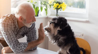 Positively Uplifting Stories | August 4 2025
