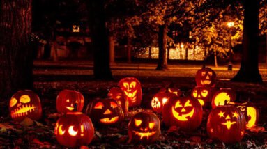 A group of carved pumpkins in a park at night with spooky darkness and yellow light.