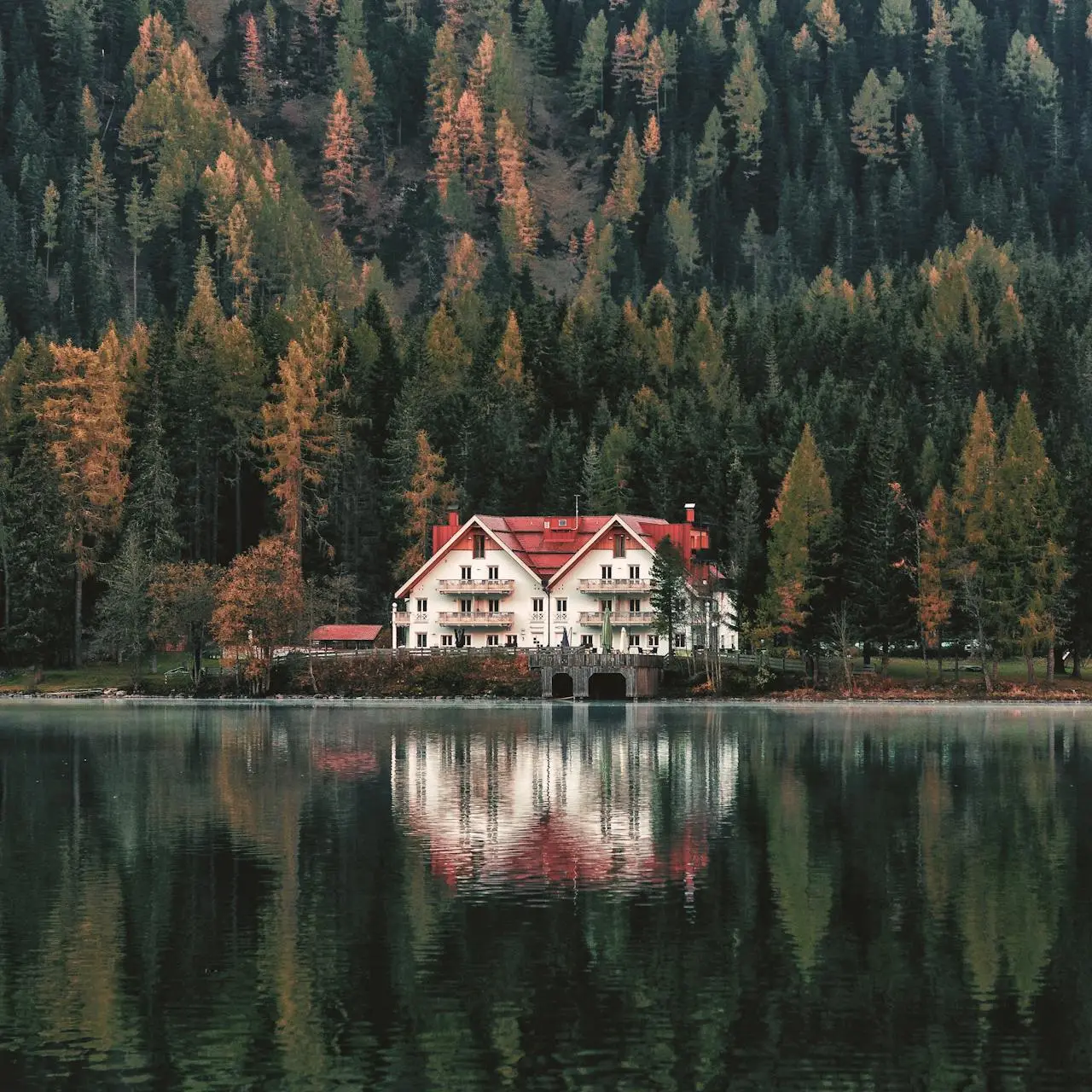 Gallery image with a fresh perspective