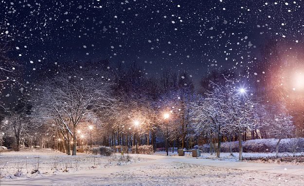 A park at night in winter during snowfall.
