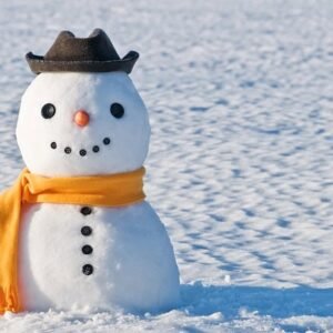 A smiling snowman standing in a field.