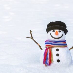 A happy snowman.