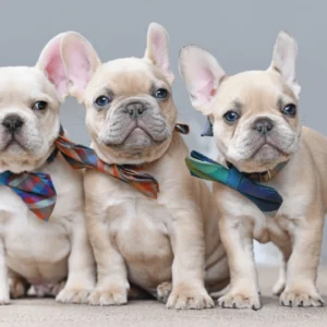 Positively Uplifting Stories | November 10 2025