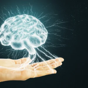 Flexing Your Brain: The Mental Gym Nobody Talks About