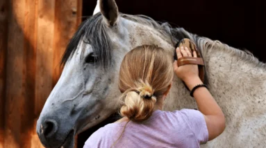 Positively Uplifting Stories | December 15 2025