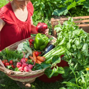 Positively Uplifting Stories | December 22 2025