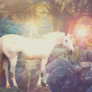 unicorn coloring pages for adults