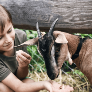 Positively Uplifting Stories | April 13 2026