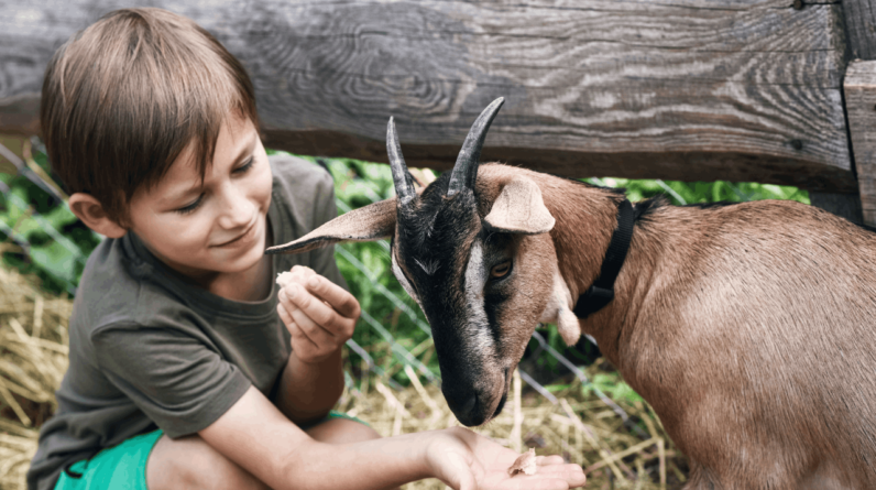 Positively Uplifting Stories | April 13 2026