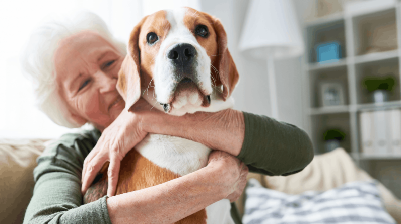 Positively Uplifting Stories | April 6 2026