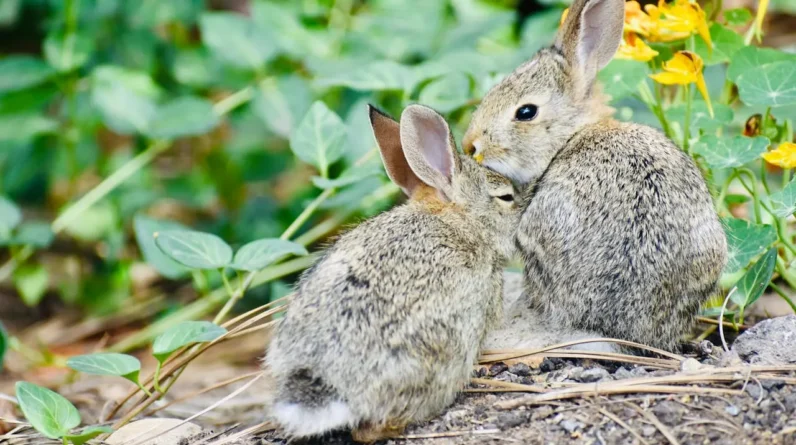 Positively Uplifting Stories | April 27 2026