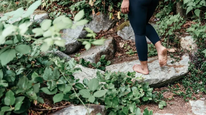 4 Free, Simple Nature Practices That Help With Burnout