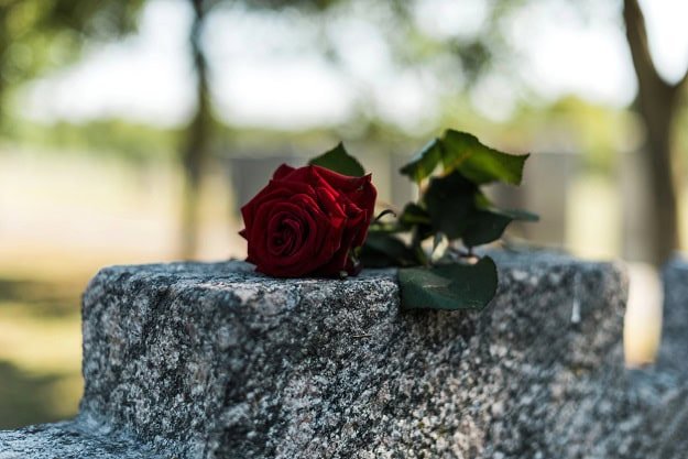 A gravestone with a red rose on top of it.